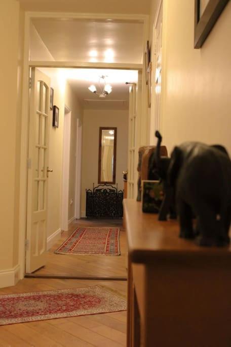 The Marshes - Large Home, Short Drive To * Kells (Kerry)