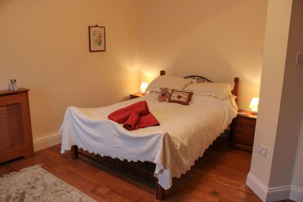 The Marshes - Large Home, Short Drive To Holiday home Kells (Kerry)